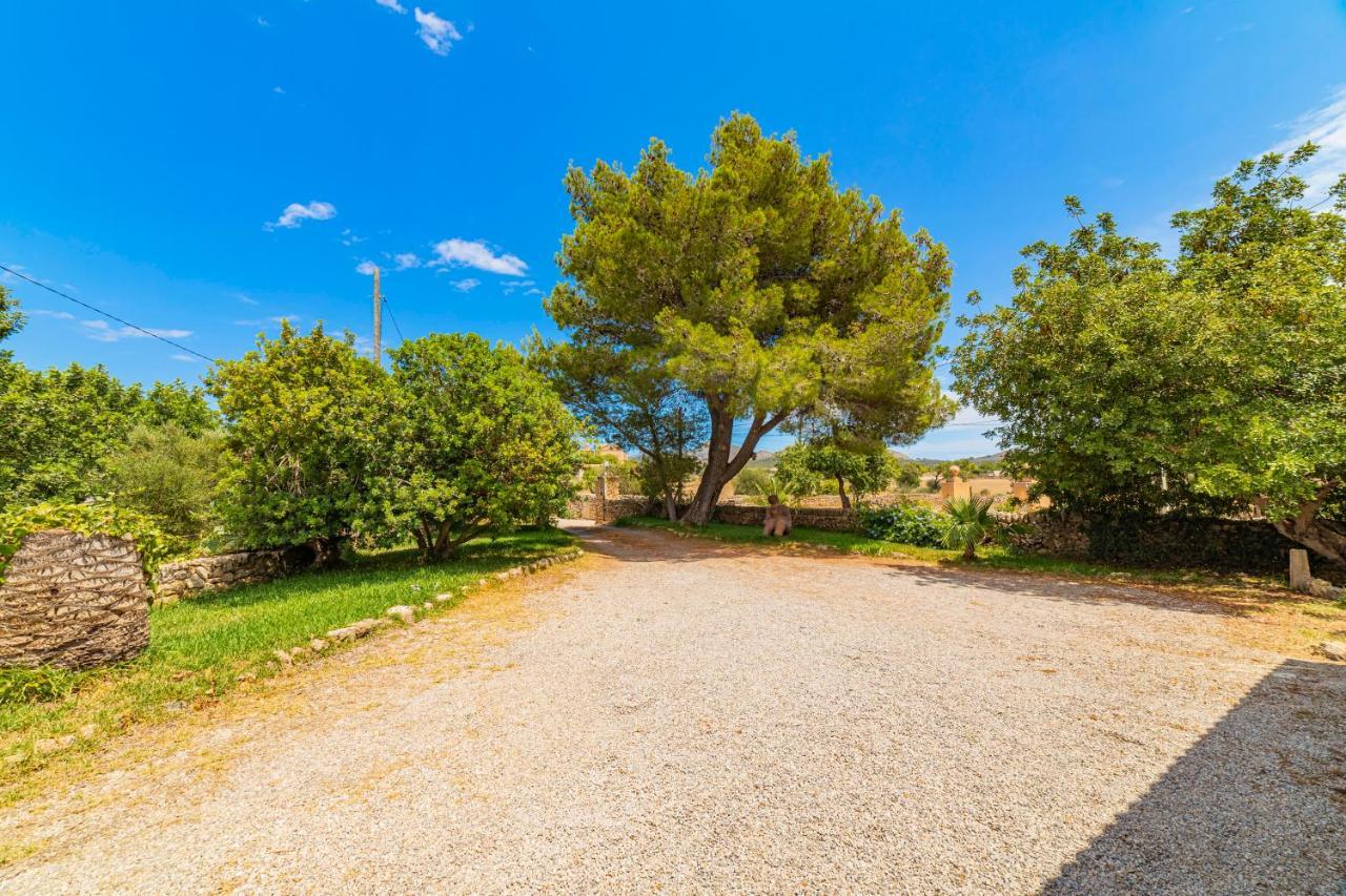 Villa Alcudia Town Exterior photo